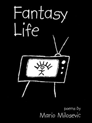 cover image of Fantasy Life